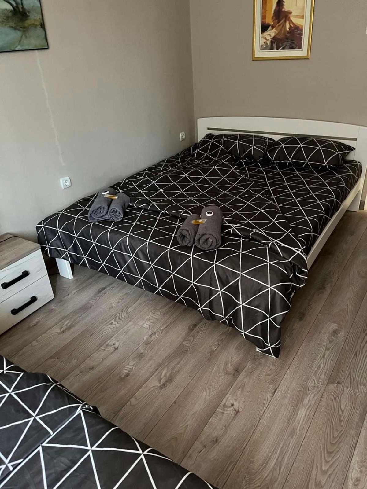Apartman Petrov Donji Milanovac Bagian luar foto