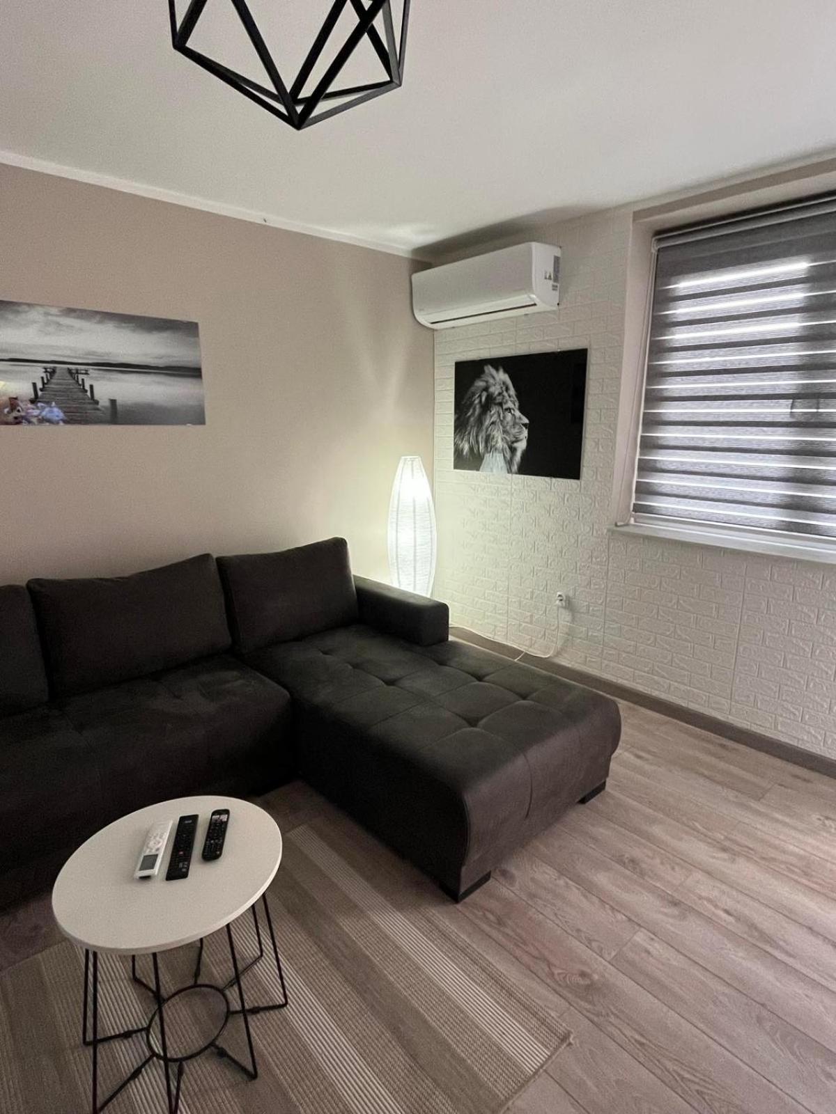 Apartman Petrov Donji Milanovac Bagian luar foto